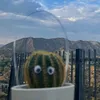caprizoom