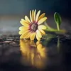 сегодня будет лучше,чем вчера