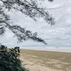 yunaree1234