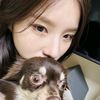 hyemtheworld