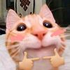 meowni.mini