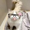 hcjnynr