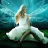 user20691306