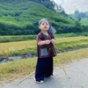 nhabiariview