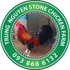 trungnguyen1213