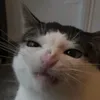 rem__iniscing