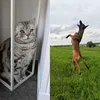 chikosam5