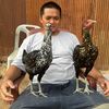 boydhaginsamtay