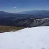 dodoria2