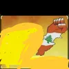 rabihabbas873