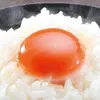 tamago_kakko_kari