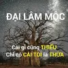 phonglantimnb