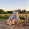 jonnyb2691