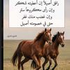 user7770677573394