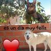 mariaballon2