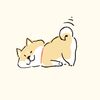 store.pet