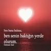 asicesur04