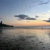 diasflip