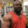 trex2large