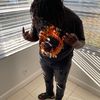kevinbingham_51