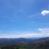 _rosilda7