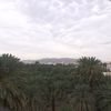 ali_11088