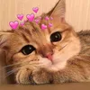 user783426608