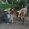 alfredito_777_