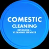 comesticcleaningbackup
