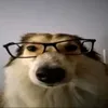 pulowsky