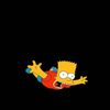 iam_fens