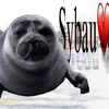 seal.soul1l