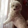 sofi.ko.0