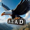 azad_abbasov43