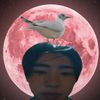moonsonaen