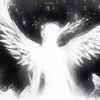 shazq_ni