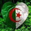 user111676045