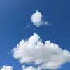 anthonnyelsoares