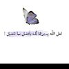 ayaabdelkhalek5