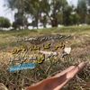 nouramonthly6