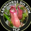 tomazvgp