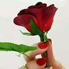 abdifatahkhalif1