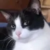 yughra