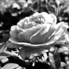 35mm_