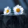 dayka_gyan01