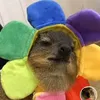 dazaidekitku