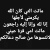 saharabdulkarimloul