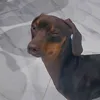 xmarcoxz