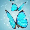 paula_taty