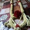 0user9955468315459